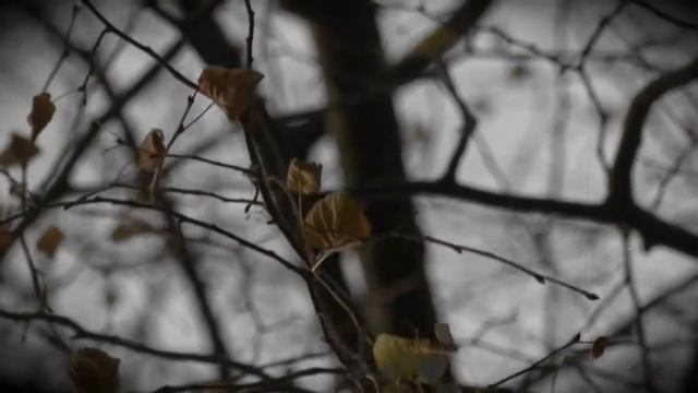 Страшные истории Устами младенца смотреть онлайн