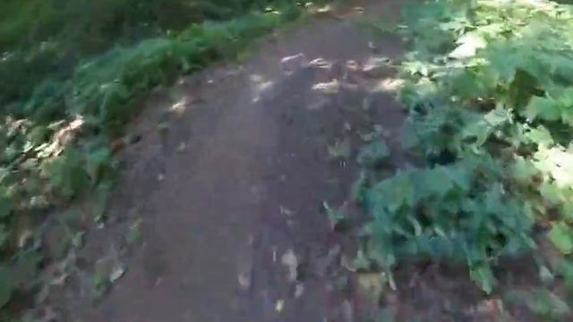 Кашира смотреть онлайн