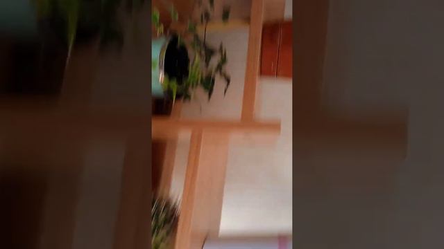 мои новые растения смотреть онлайн