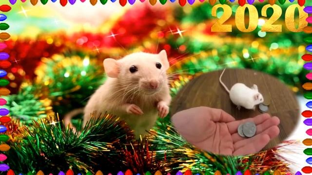 С Годом металлической крысы! смотреть онлайн