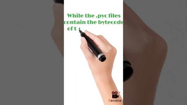 What is .py files and .pyc files in Python|| #python3 #pythonprogramming смотреть онлайн
