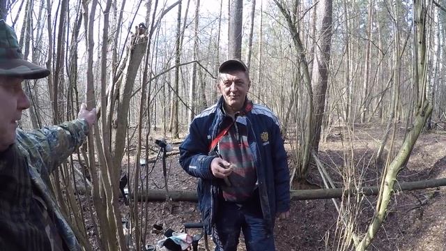 ПОИСК МОНЕТ В ЛЕСУ НАХОДКИ ИЗ ЛЕСА FINDS FROM THE FOREST смотреть онлайн