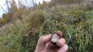 Коп с XP Deus. Медаль, монеты и прочее...