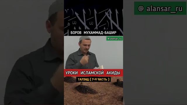 Боров Мухаммад-Башир смотреть онлайн