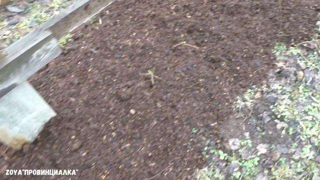 Малина в МАРТЕ/ Мульчирование/ Конская подстилка/ Обрезка/ #raspberry #spring смотреть онлайн