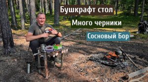 Сосновый Бор Ленинградской области / Черника / Одиночный поход / Бушкрафт стол в лесу