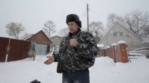 Как приучить собаку тянуть санки, нарты