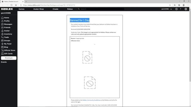 banned for 1 day!!! why roblox смотреть онлайн