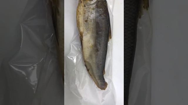 Муксун холодного копчения. Копченая рыба смотреть онлайн