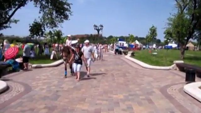 Авторская сьёмка. День Независимости-3. смотреть онлайн