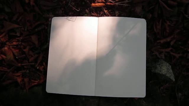 notebook sketch experiment 1 смотреть онлайн