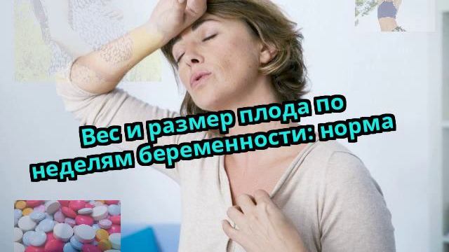 Вес и размер плода по неделям беременности: норма смотреть онлайн