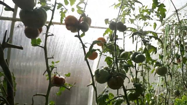 Обогрев теплицы весной и осенью. смотреть онлайн