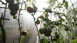 Обогрев теплицы весной и осенью.