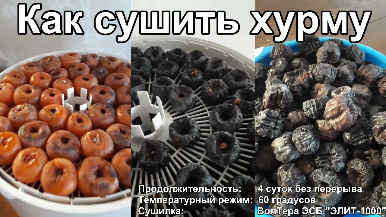 Как сушить хурму. Сушеная хурма. Сушилка ВолТера 