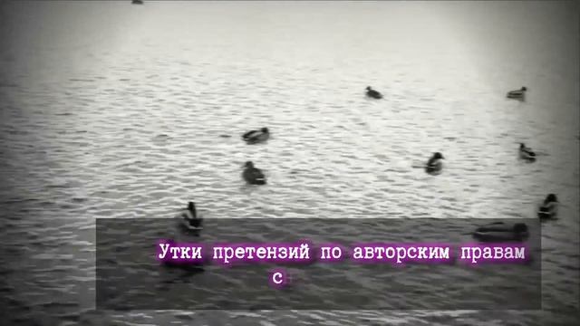 Потерянные лостмедийные видео 1 (Посадка на луну, Земля до начала времен, Ад каннибалов) смотреть онлайн