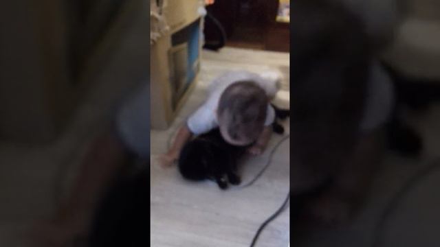 Любовь к животным смотреть онлайн