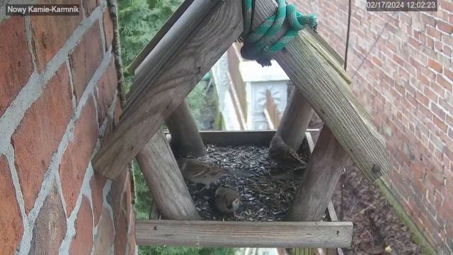 Nowy Kamień -Karmnik смотреть онлайн