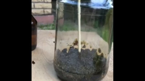 Что Такое Углерод и с чем это едят? | [C2H5OH] - Углерод | (Ep1)