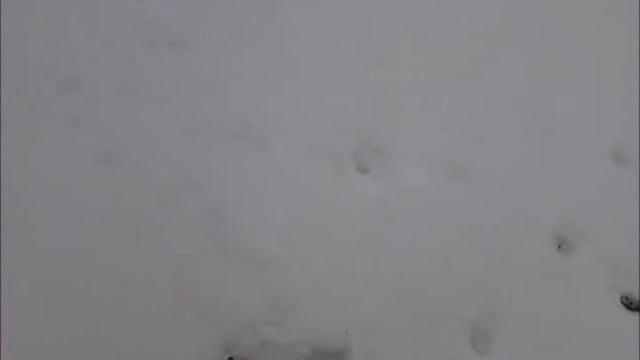 Накуреный обзорчик ( выпуск 2 ) - Логово бомжей смотреть онлайн