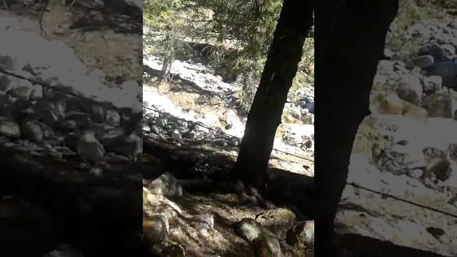 Прадо Атаман смотреть онлайн