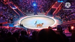 представление цирк (1 часть)