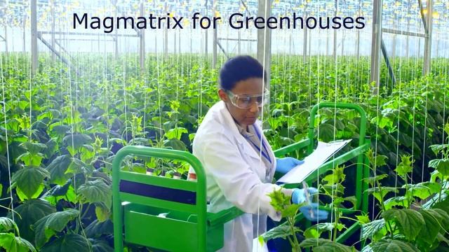 MAGMATRIX SYSTEMS