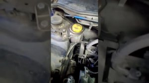 Замена жидкости в гуре фиат альбеа