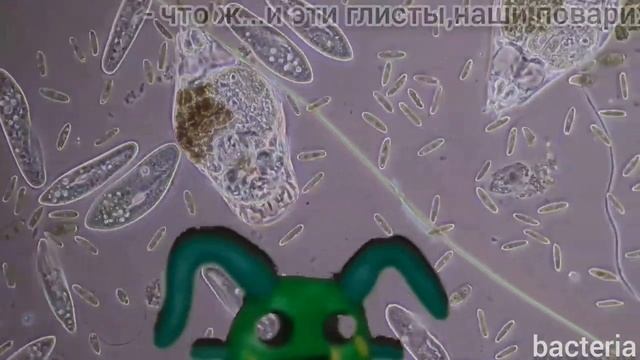 Бактерии рассказывают про еду в нашей школьной столовке (таймкоды рецептов в описании) смотреть онлайн