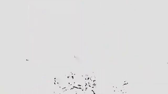 Главный дом-музей М.Ю. Лермонтова в Тарханах смотреть онлайн