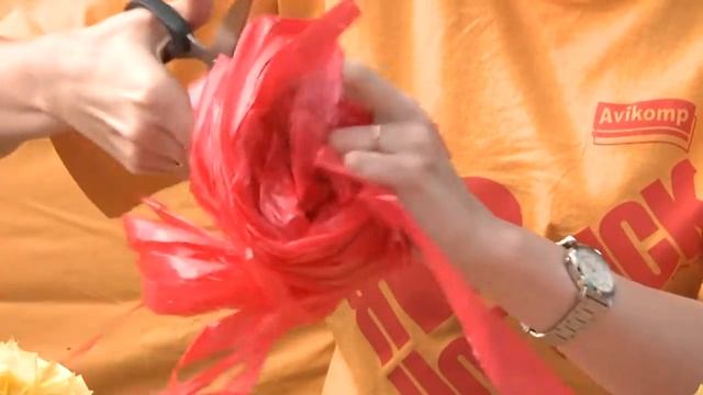 Мастер класс Поделки из полиэтилена смотреть онлайн