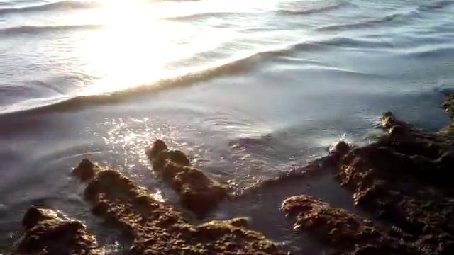 Мерзкая вонючая жижа на берегу Черного моря. смотреть онлайн