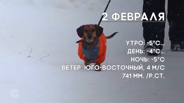Погода на 2 февраля смотреть онлайн