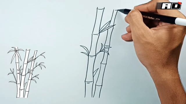 How to draw Bamboo смотреть онлайн