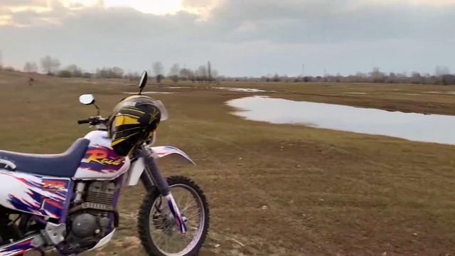 Yamaha TTR 250 RAID Лебяжья поляна смотреть онлайн