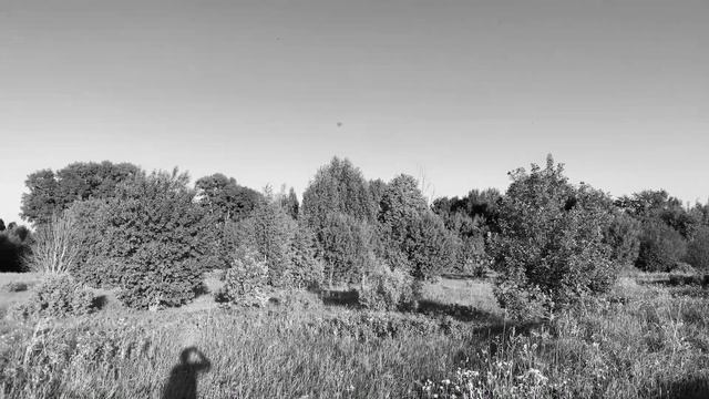 Не был здесь 28 лет. Деревня Жданово, Кировская область, Тужинский район, на cf moto x10. смотреть онлайн