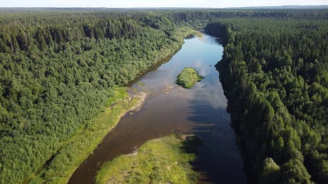 Река Уфтюга, чуть выше Куликова смотреть онлайн