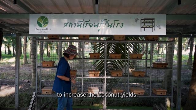Regenerative Coconut Agriculture - Beyond Organic [FULL] смотреть онлайн