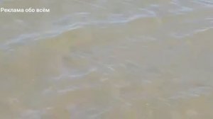 Обзор озеро Мойнаки ( Крым Евпатория)