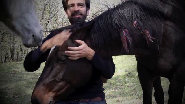 5Rhythms Embodiment Workshop With Guillaume Laplane - Russia