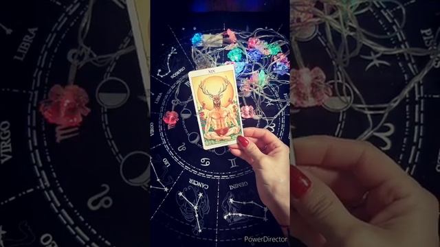 Как пройдёт ваша новогодняя ночь? ? ? ? смотреть онлайн