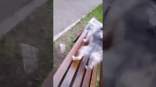 Скучаем по горячей воде!😭 Дяденьки, дайте водуууу😭 смотреть онлайн