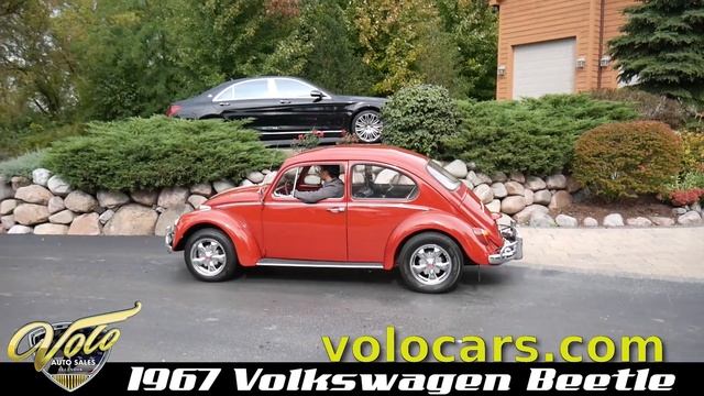 V18158 - 1967 Volkswagen Beetle смотреть онлайн