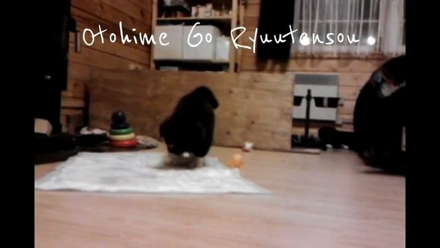 Un and Ota (Terumasa Go Akita Suzuki x Hanafubuki Go Takasaki Yamaguchi) смотреть онлайн