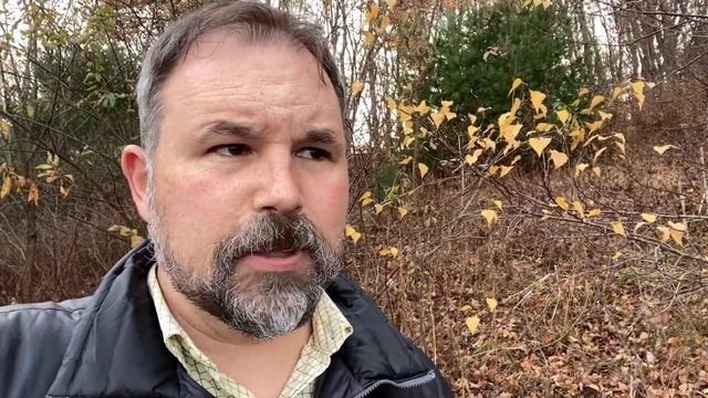 6 STRONG ENGLISH TERMS TO USE IN CONVERSATION 💪 смотреть онлайн