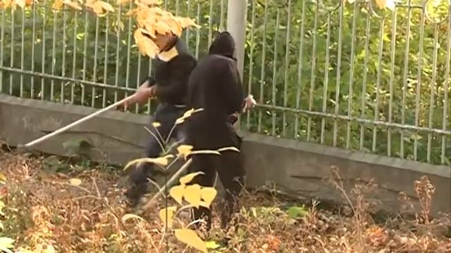 Общая забота: на улицах Ельца проходит масштабная уборка смотреть онлайн
