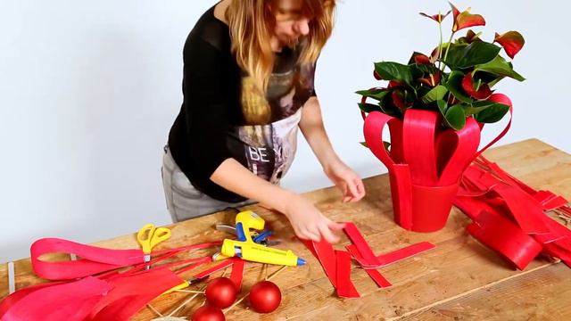 Anthurium Plants for Christmas | Flower Factor How To | Plant Creation смотреть онлайн