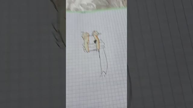 рисую роблокс квин #пжвреки #shortvideo #подпишись смотреть онлайн