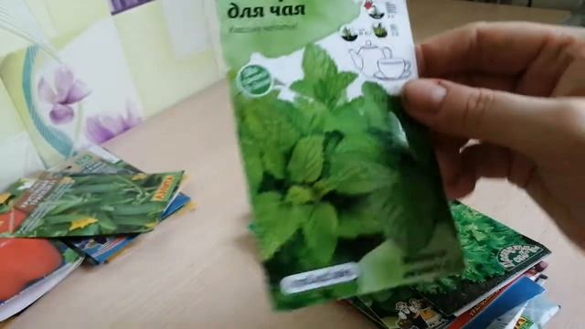 Обзор семян на 2021 год смотреть онлайн