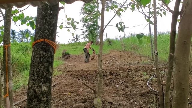 Делаем подпорную стенку из камня | Купаем Ташу в реке | Жизнь с филиппинкой в деревне смотреть онлайн